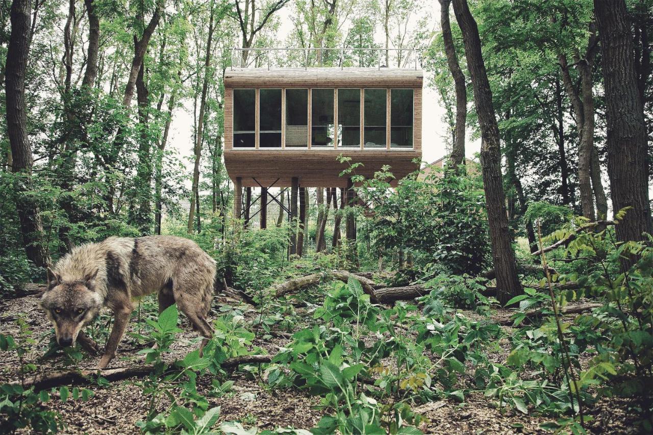 Tree Inn - Das Baumhaushotel Doerverden Экстерьер фото