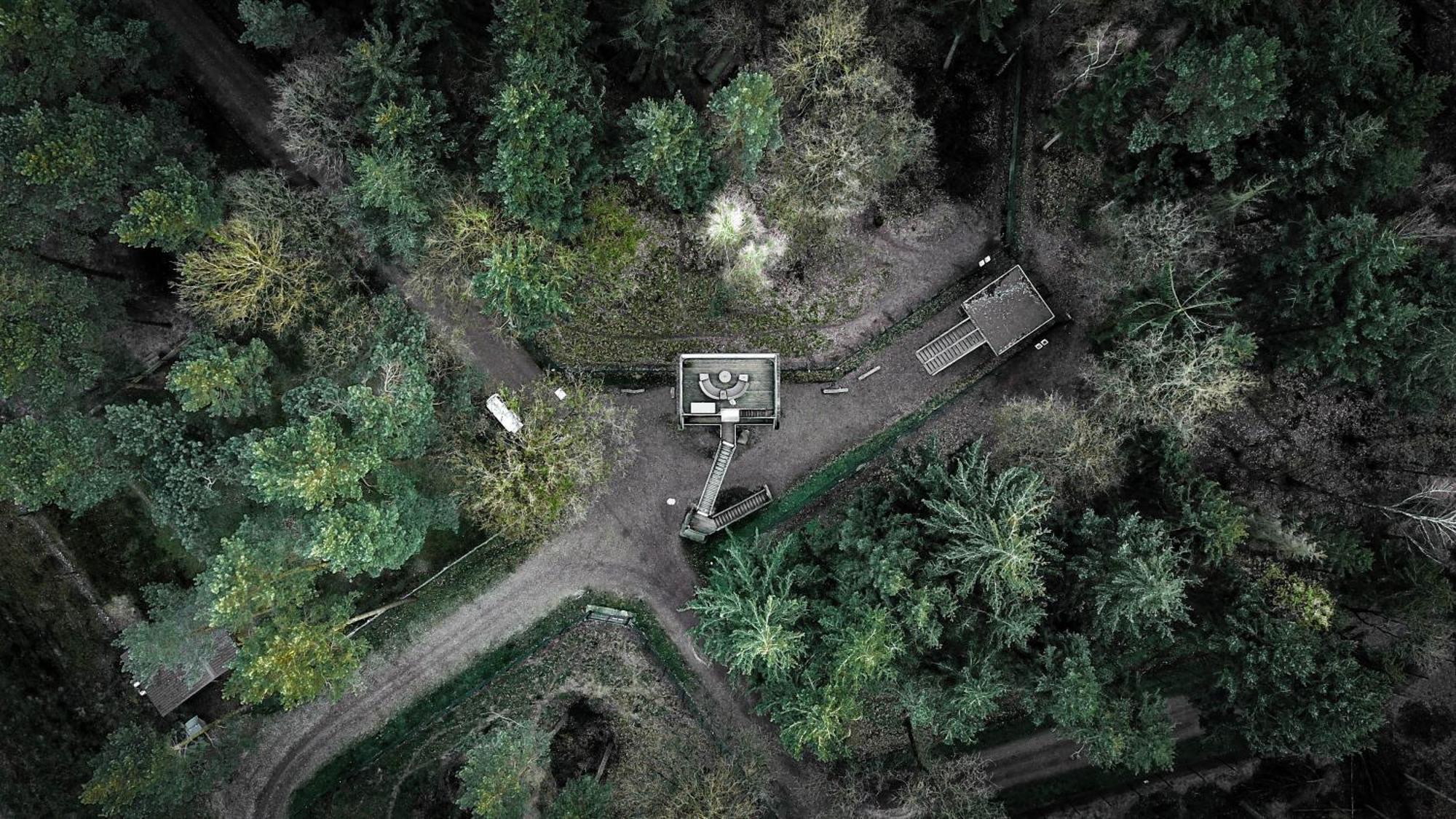 Tree Inn - Das Baumhaushotel Doerverden Экстерьер фото