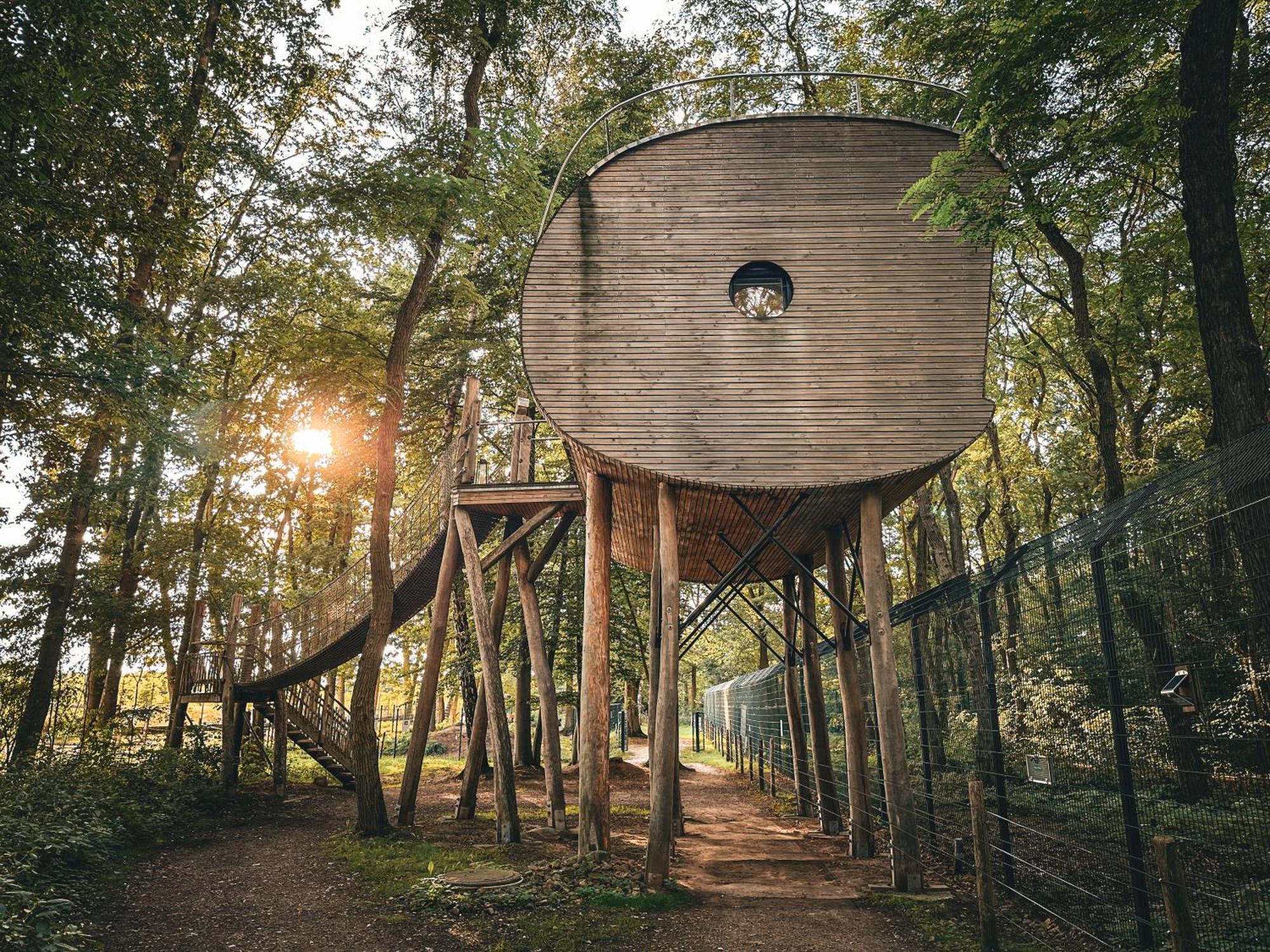 Tree Inn - Das Baumhaushotel Doerverden Экстерьер фото